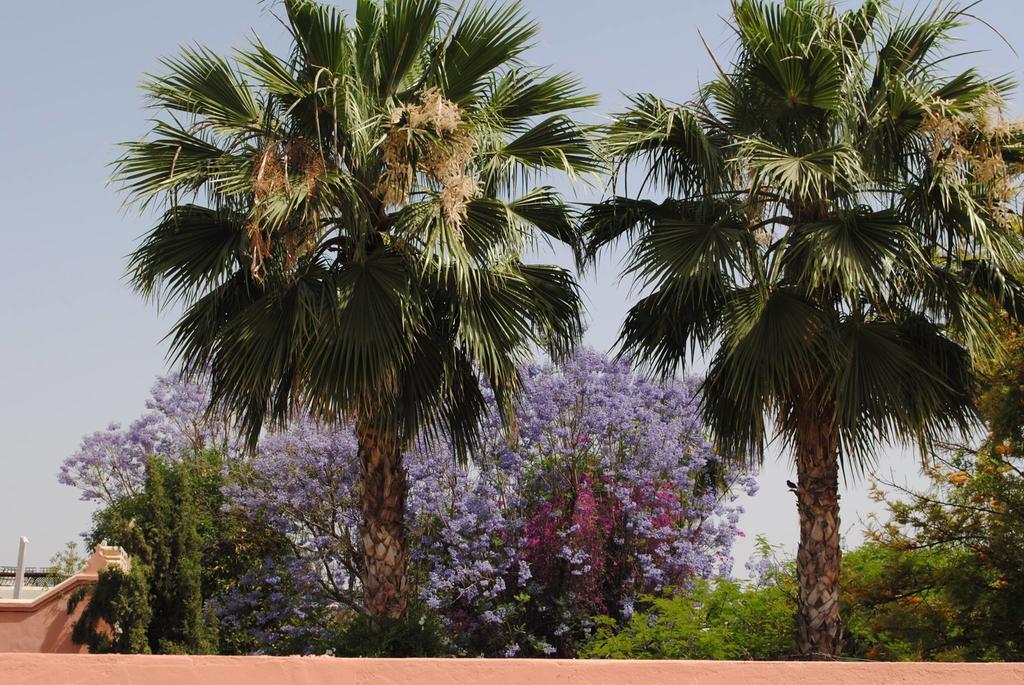 Riad Dar Palmyra Marakeş Dış mekan fotoğraf